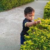 Foto von Rakesh Maji