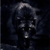 Mike Cross's photo