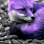 Susilu Ilufe's photo