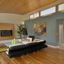 Living Room Ideas