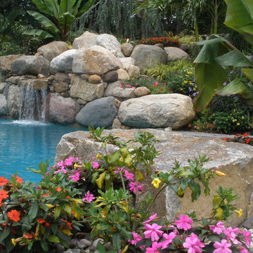 The Tropics in the suburbs