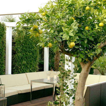 Panoramic Terrace