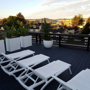 Northeast Portland Modern Rooftop Garden