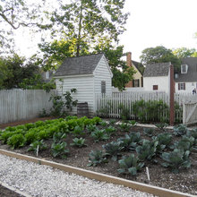 Veggie Gardens