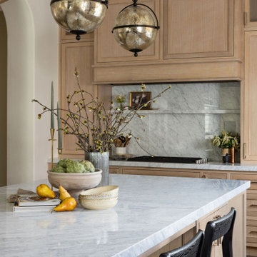 Organic Transitional Home Remodel