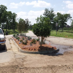 Lantern Hill during - Gardening And Lawn Care