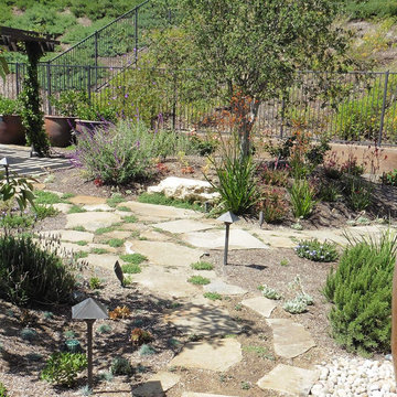LOW WATER LANDSCAPE GARDENS