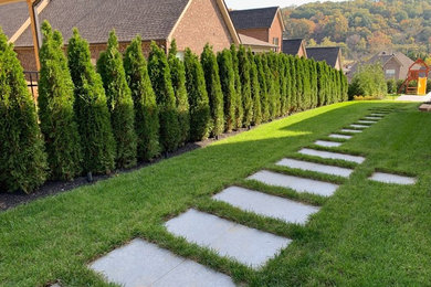 Design ideas for a traditional landscaping in Other.