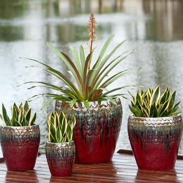 Palm Beach Container Gardens