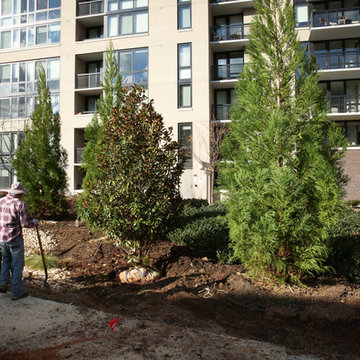 Greening the urban jungle