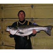 Ron Palma's photo