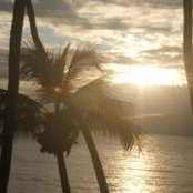 Christine Cosgrove's photo