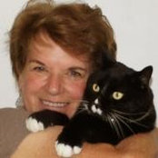 Lynne Vigue's photo