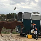 Joanna Schembri Wismayer's photo