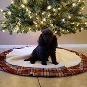 Stephanie Allen's photo