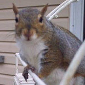 Monica Weimer's photo