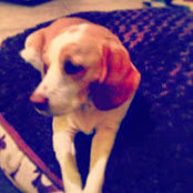 Billy Caos billede
