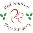 Red Squirrel Tree Surgery's profile photo
