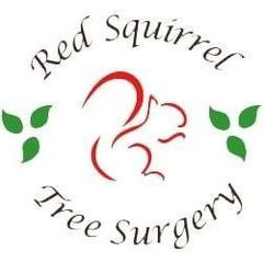 Red Squirrel Tree Surgery