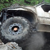 Scott York's photo