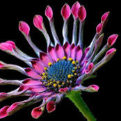 Marta Ditzler's photo