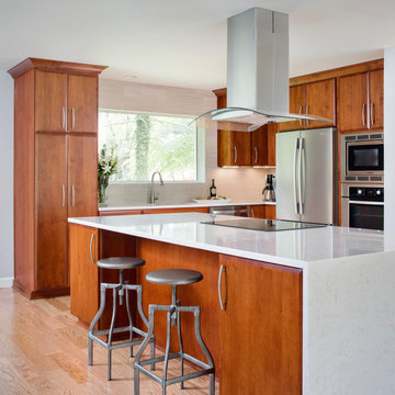 "Best Of" Kitchen Remodel Projects