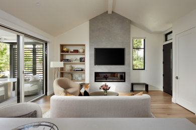 Inspiration for a contemporary living room remodel in San Francisco