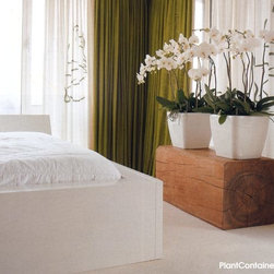 Modern Planter - Products