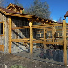 Chicken Coop