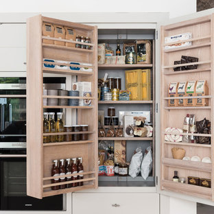 Small contemporary kitchen pantry appliance - Inspiration for a small contemporary single-wall kitchen pantry remodel in Other with flat-panel cabinets and white cabinets
