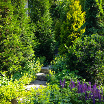 Stewart Hass and Associates Projects