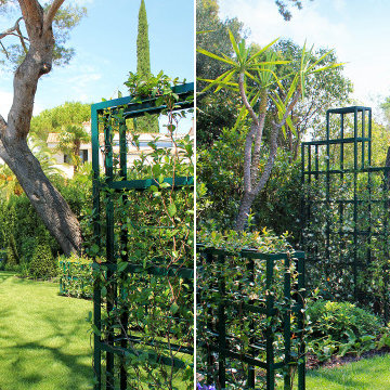 Architecte de Jardin Cannes | Contrasts et géométrie