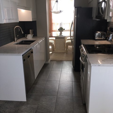 Complete Condo Renovation - Including complete kitchen - Brampton August 2017 (B