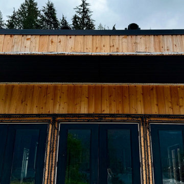 Aging cedar (wood) siding with brand-new cedar plank