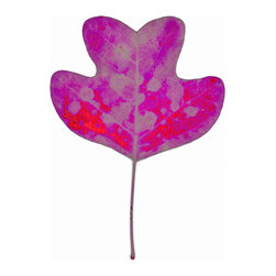 Chroma Leaf 2: 33 B - Fine Art Prints