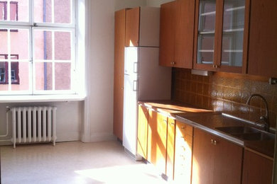 Mid-century modern home design photo in Stockholm