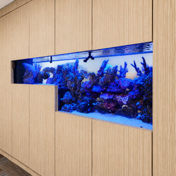 Custom Step-Down Reef Aquarium Office Divider