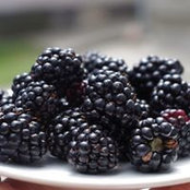 Glenda Manson's photo