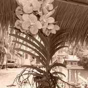 Amanda Pisani's photo