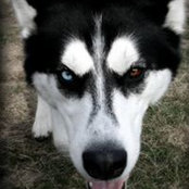 Robert Feiner's photo