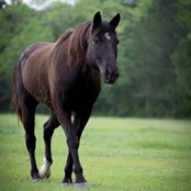 Ann Danford's photo