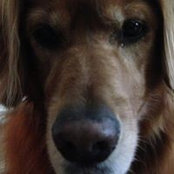 Carol Halvorson's photo