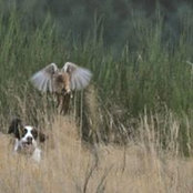 Jan Johnson's photo