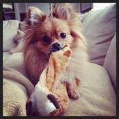 Clarice Cox's photo