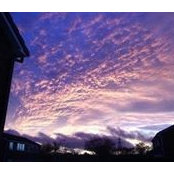 Sarah Michaels's photo