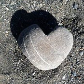 Sheila Fetzer's photo