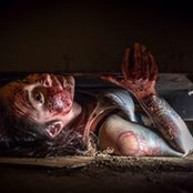 Kira Kawakami's photo