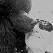 Dave Berger's photo
