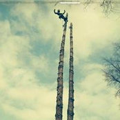 Bobby Kearns's photo