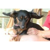 Catherine Williford's photo